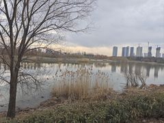-七桥瓮公园