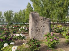 -莲花池公园