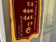 -艾吉宠物医院·疑难杂症转诊中心·猫友好(碧江路院)