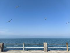 -悦海公园