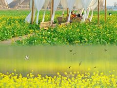 -中国天府农业博览园