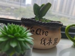 -尚艺造型.剪烫染.接发