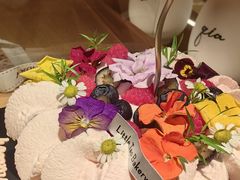-小淘圆儿·四季口味蛋糕