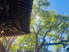 -法雨寺餐厅
