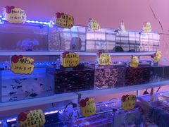 -中环花鸟鱼虫市场