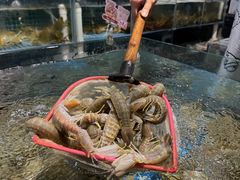 -阳江餐厅·30年老字号·粤菜海鲜大排档
