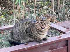 -终南山南五台景区