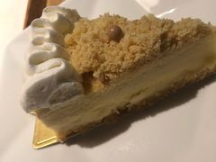 重芝士蛋糕-sugarman espresso素饮糖人高新咖啡工厂