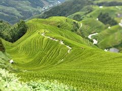 -龙脊梯田