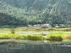 -腾冲北海湿地