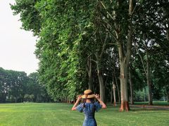 -河南省黄河迎宾馆