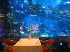 -迪拜帆船酒店海底餐厅