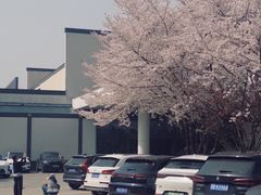 -苏州独墅湖世尊酒店