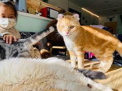 -平行世界·猫咖(首经贸店)
