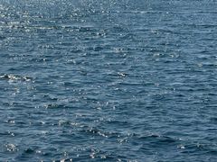 -腾冲北海湿地