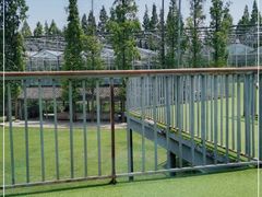 -前小桔亲子创意农场·草莓采摘·露营烧烤