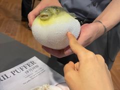 -肆月河豚·新淮扬(金融街店)