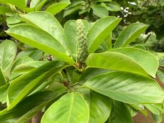 -上海虹桥迎宾馆