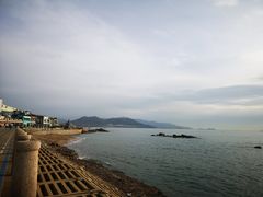 -海合安青岛极地海洋公园