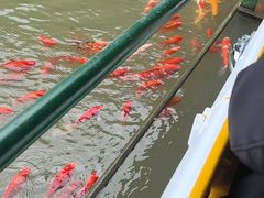 -陶祖圣境风景区