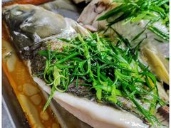 蒸泉水瘦身鱼-桂花园农庄