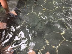 -明月山天沐温泉度假村