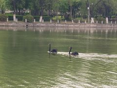 -哈尔滨师范大学(松北校区)