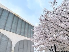 -龙美术馆(西岸馆)