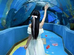 -合肥海洋世界