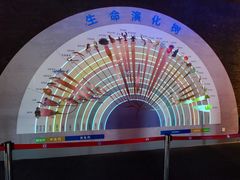 -安徽省地质博物馆