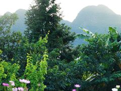 -万峰林风景区