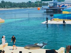 -秦皇岛乐岛海洋王国