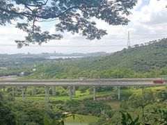-东莞市大岭山森林公园
