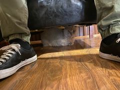 -猫友咖啡店(玉林西路店)