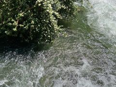 -花溪公园