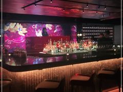 -罗斯福色戒酒吧(外滩店)