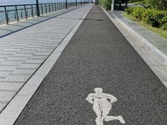 -深圳湾公园(南山区)