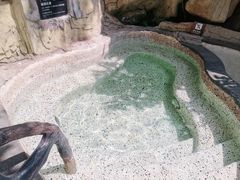 -海口观澜湖火山温泉谷