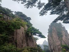 -黄山风景区