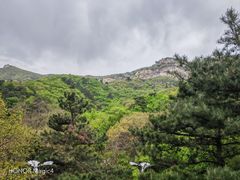 -青岩寺风景区