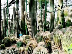 -南山植物园
