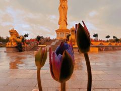 -广州莲花山旅游区