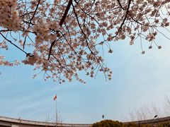 -南浦大桥长途旅游客运站