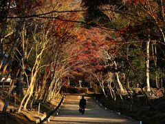 -醍醐寺