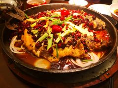 -老板恋上鱼(荣盛广场店)