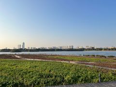 -海珠湖公园