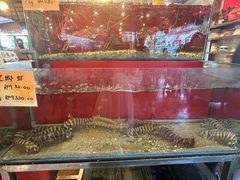 -大树下海鲜饭店