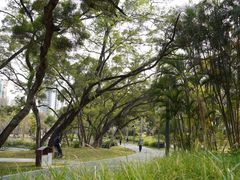 -四海公园(南山区)