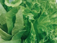 -探窝·竹笙椰子鸡(杨箕店)