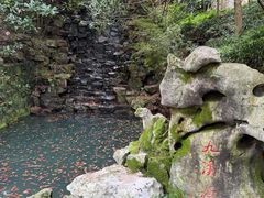 -十八棵（老龙井）御茶园(老龙井店)